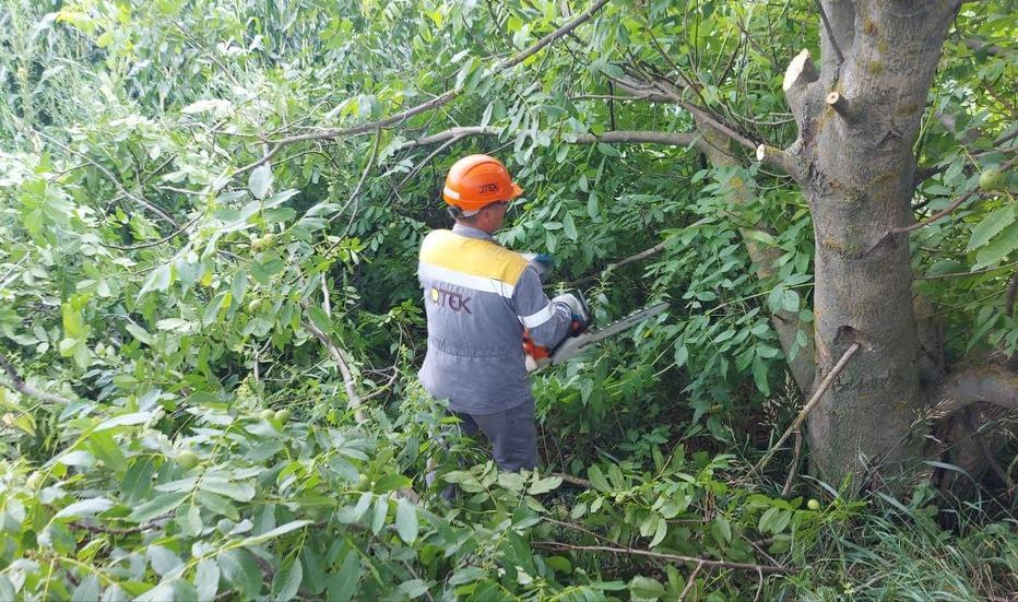 shchob-poperediti-vidklyuchennya-svitla-u-kliyentiv-dtek-kijivski-regionalni-elektromerezhi-rozchistit-v-chervni-400-km-tras-merezh-1