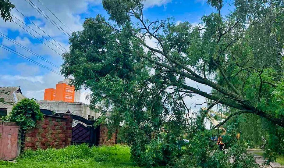 energetiki-dtek-kijivski-regionalni-elektromerezhi-pislya-negodi-povernuli-svitlo-192-tisyacham-rodin-1