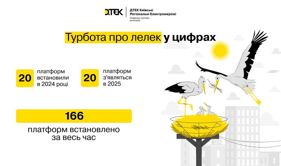 energetiki-dtek-kijivski-regionalni-elektromerezhi-v-2024-roci-oblashtuvali-20-bezpechnih-gnizd-dlya-lelek-1