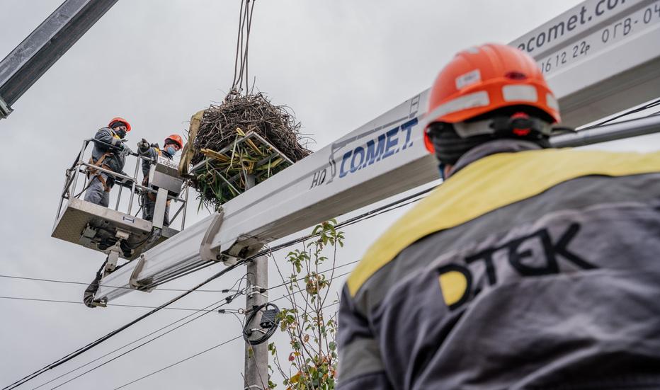 energetiki-dtek-kijivski-regionalni-elektromerezhi-v-2024-roci-oblashtuvali-20-bezpechnih-gnizd-dlya-lelek-3