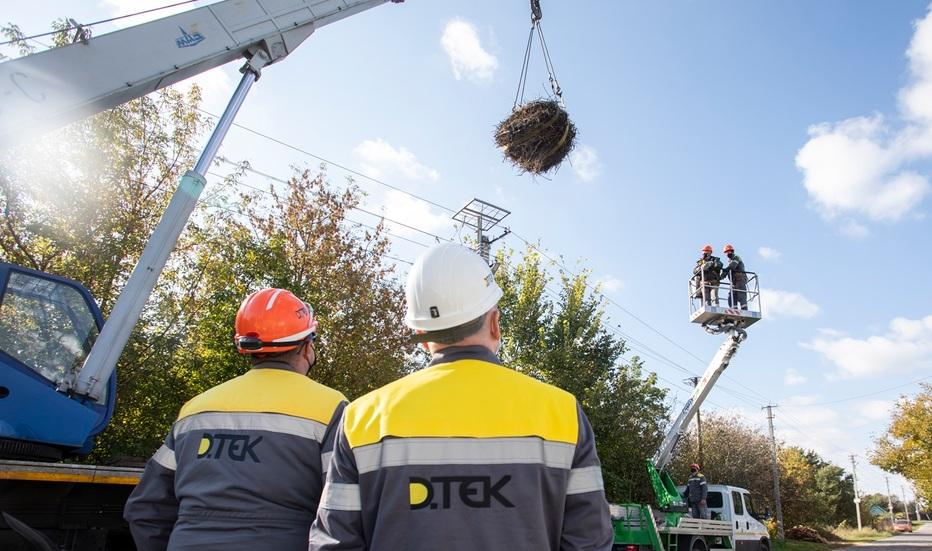 energetiki-dtek-kijivski-regionalni-elektromerezhi-vstanovlyuyut-novi-platformi-dlya-gnizd-lelek-1