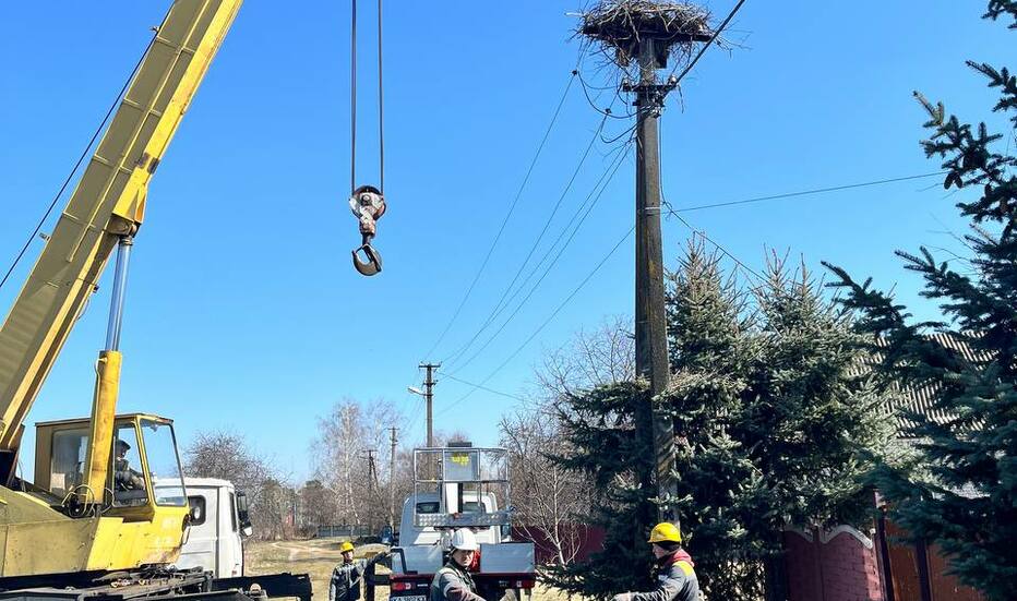 energetiki-dtek-kijivski-regionalni-elektromerezhi-vstanovlyuyut-novi-platformi-dlya-gnizd-lelek-6