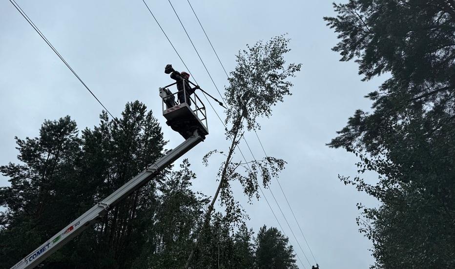 zi-svitlom-350-tisyach-kliyentiv-energetiki-dtek-kijivski-regionalni-elektromerezhi-zavershili-vidnovlennya-osnovnoji-merezhi-pislya-negodi-1