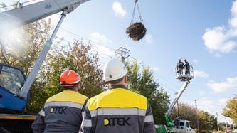 energetiki-dtek-kijivski-regionalni-elektromerezhi-vstanovlyuyut-novi-platformi-dlya-gnizd-lelek
