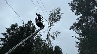 zi-svitlom-350-tisyach-kliyentiv-energetiki-dtek-kijivski-regionalni-elektromerezhi-zavershili-vidnovlennya-osnovnoji-merezhi-pislya-negodi