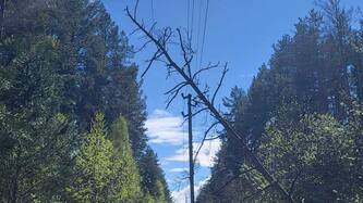 negoda-na-kijivshchini-energetiki-dtek-kijivski-regionalni-elektromerezhi-pracyuyut-u-posilenomu-rezhimi